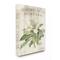Stupell Industries French Magnolias In Spring Canvas Wall Art